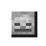 Skeleton Skull (item) JE1 BE1.png