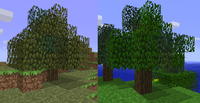 (Left) Tree updated from Beta 1.1 containing DV3 leaves, (Right) Tree updated from Beta 1.0 containing 4 leaf types