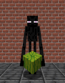 Enderman Holding Melon.png