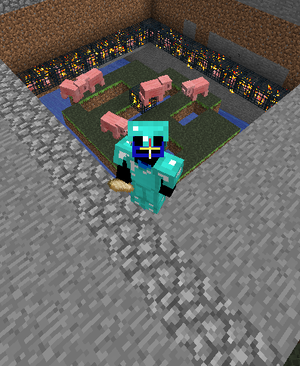Me and My pig farm.png