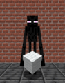 Enderman Holding White Wool.png