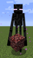 Enderman Holding Netherrack.png