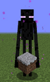 Enderman Holding Snowy Grass.PNG