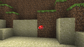 The water replaced with a red mushroom, leaving it floating