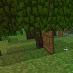 A sapling grown with bonemeal replacing the top half of a door and leaving only the bottom half.