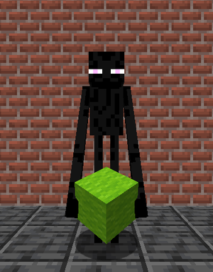 Enderman Holding Lime Wool.png