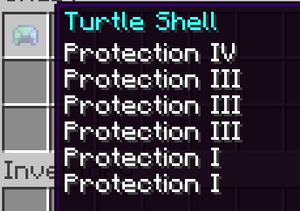 Awesome Turtle Helmet.png