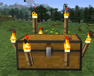 All 5 types of torches on a double chest