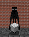 Enderman Holding Polished Diorite.png