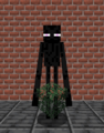 Enderman Holding Spruce Leaves.png