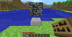 Infdev Sign Bedrock Removal Before Placement.png