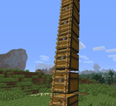 A full climable ladder on chests