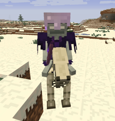 The glitched texture that a stray with enchanted armor appears from 16w20a (1.10 snapshot) to 16w44a (1.11 snapshot) due to a visual bug[2]