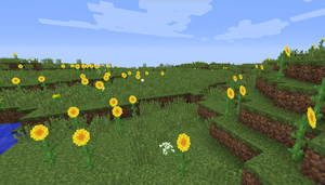 Sunflower Plains.png