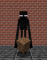 Enderman Holding Coarse Dirt.png