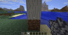Step 2: Bone meal the mushroom to grow it into a large mushroom and replace block with dirt.