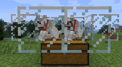 Two wooden pressure plates on a double chest that are constantly being pressed down by two tamed sitting wolves (can be 1 in between both)