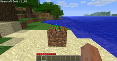 Step 3: Place seeds on the farmland in order to replace block above